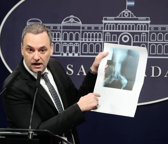 vocero presidente