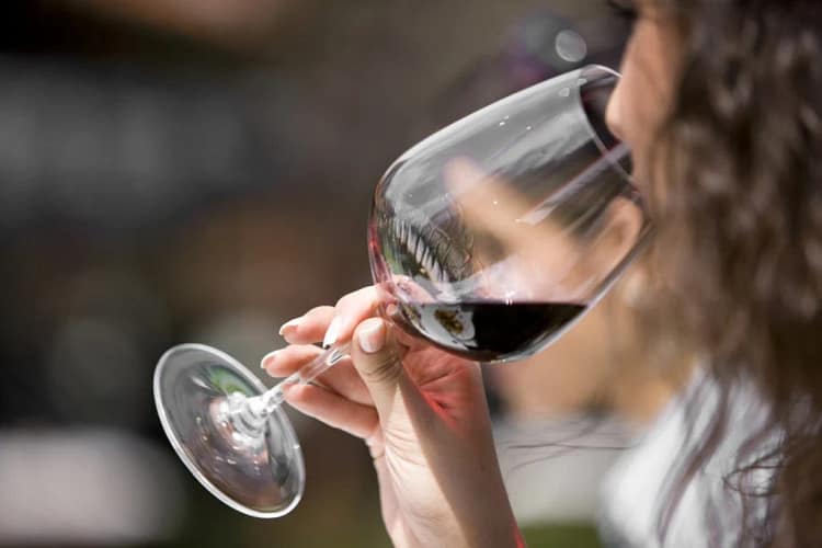 vino